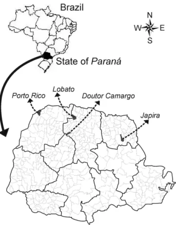 Figure 1 - Geographical location of municipalities of Doutor  Camargo, Japira, Lobato, and Porto Rico, where the collection  of sandflies was made, State of Paraná, Brazil.