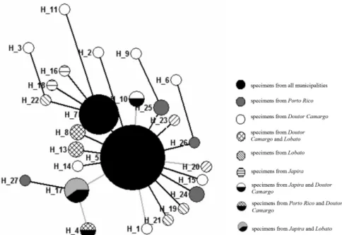 Table 4 shows that the largest genetic distance (Fst)  occurred between Japira and Porto Rico populations  (Fst=0.02477), and the lowest between Doutor Camargo  and Porto Rico (Fst=-0.00428)