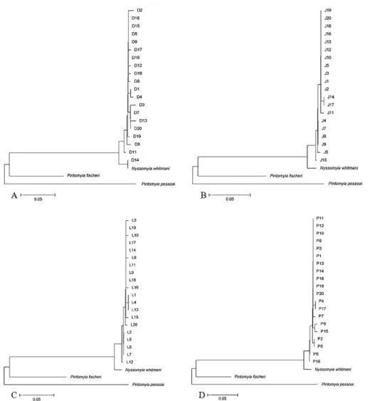 Figure 3 - Dendrogram of Nyssomyia neivai populations from (A) Doutor Camargo, (B) Japira, (C) Lobato, and (D) Porto Rico,  State of Paraná, Brazil.