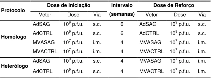 Tabela 1  – Protocolos de vacinação homólogos e heterólogos 