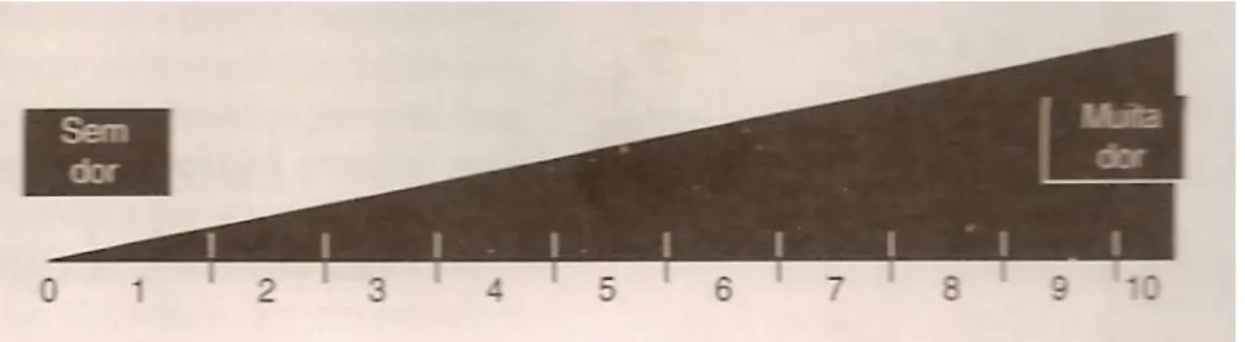 FIGURA 2 - Escala analógico-visual.