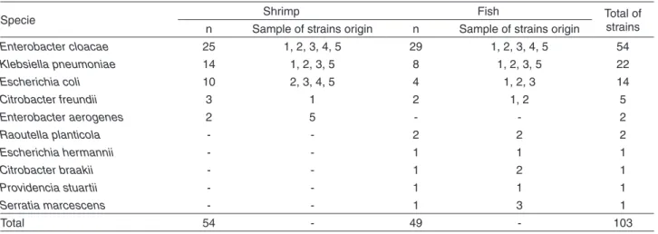 Table 1 shows the diversity of 103 enterobacteria strains  among the isolates from shrimp (L