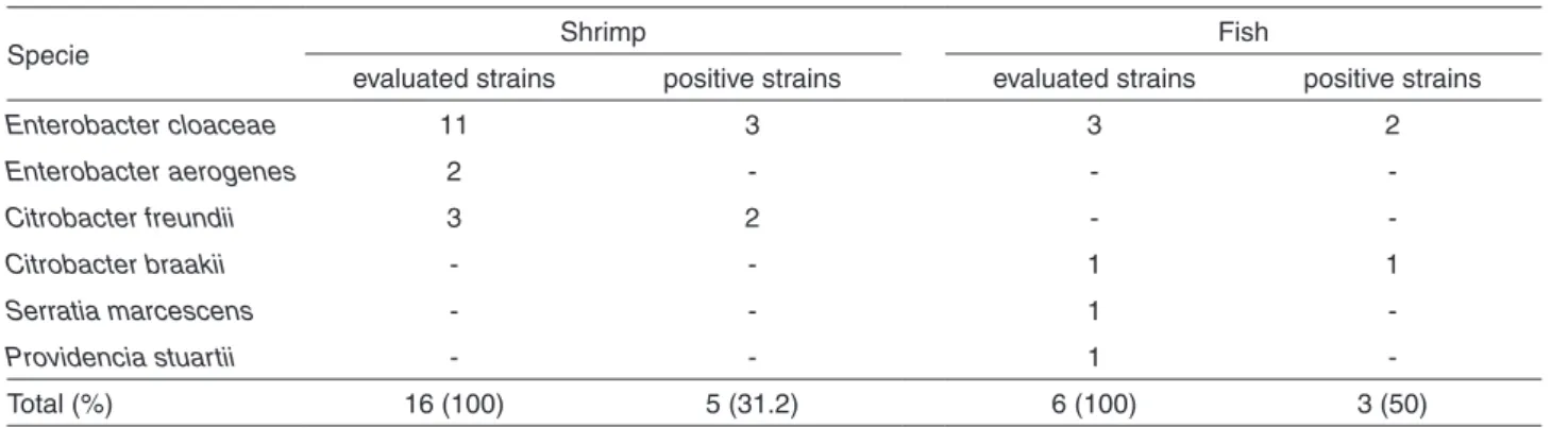 Table 3 - Number of enterobacteria strains according to the expression of AmpC beta-lactamase