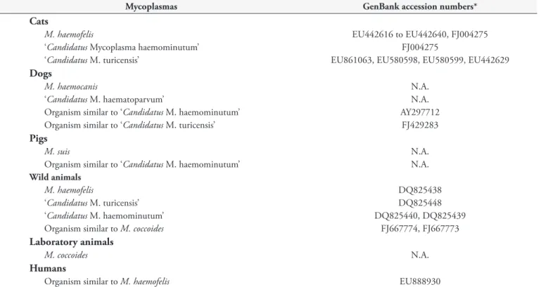 Table 1. Hemotrophic mycoplasmas described in Brazil.