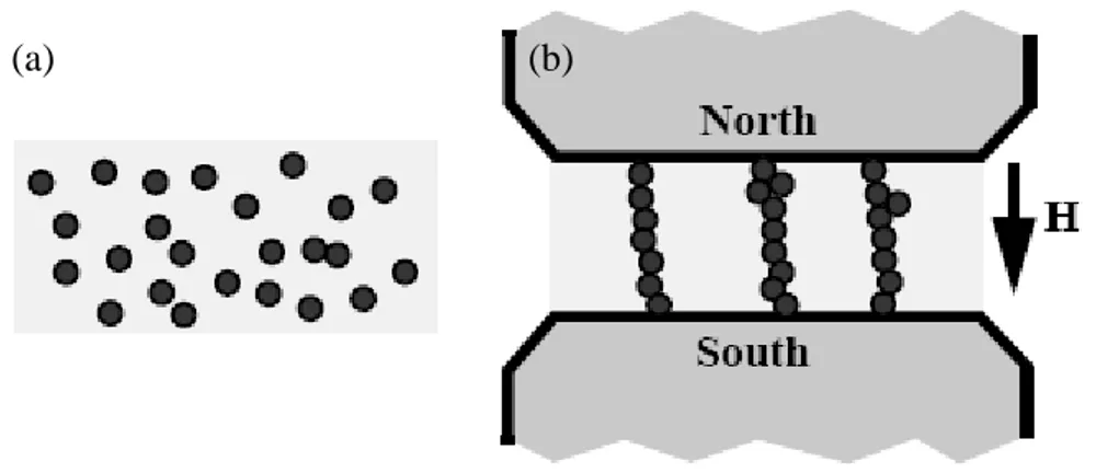 Figura 2.1: Fluido magneto reológico: (a) Antes da aplicação do campo magnético; (b)  Após a aplicação do campo