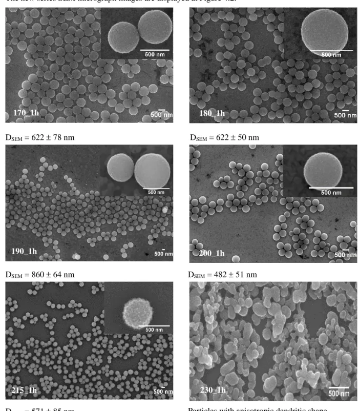 Figure  4.2-  SEM  micrograph  images  of  series  temperature  nr.  2  of  samples:  170_1h;  180_1h; 