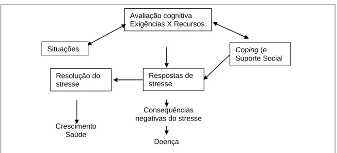 Figura 4: Sistematização dos processos de stresse 
