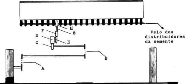 Fig. 2 - Esquema da transmissão de movimento para o veio dos doseadores de semente  A  transmissão  é  feita  por  duas  correntes  de  rolos,  A  e  B,  e  por  uma  engrenagem  de  rodas  paralelas,  com  as  seguintes  rodas:  C;  D  e  E  (numa  peça  