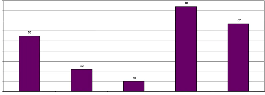 GRÁFICO 2  –  Ações técnicas realizadas durante a intervenção  –  período: 2006 a 2007 Caso de reinserção em família extensa – avó paterna 