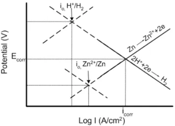 Figure 3.2.6. E vs. log I plot showing two half cell reactions on zinc surface. 