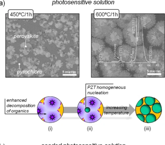 Figure 3.  Surface morphology by SEM of the PZT thin films obtained at different annealing temperatures  from the Photosensitive  (a) and Seeded Photosensitive (b) solution systems