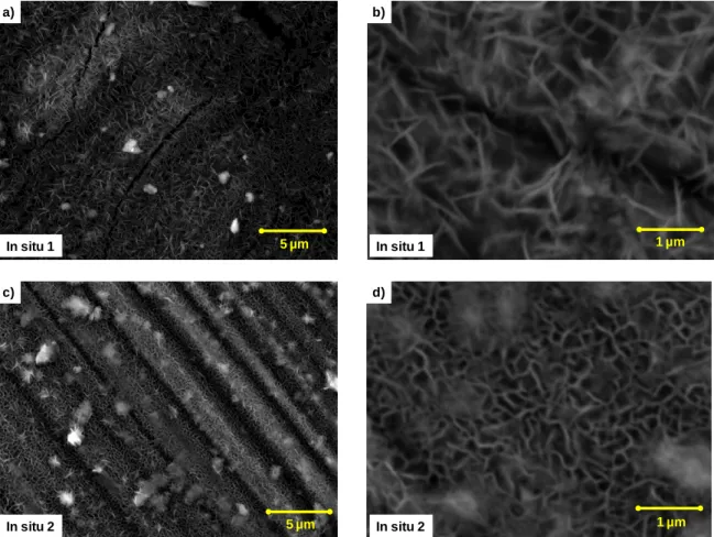 Figure 17 - SEM images of LDH synthesized by in situ 1 and in situ 2. 