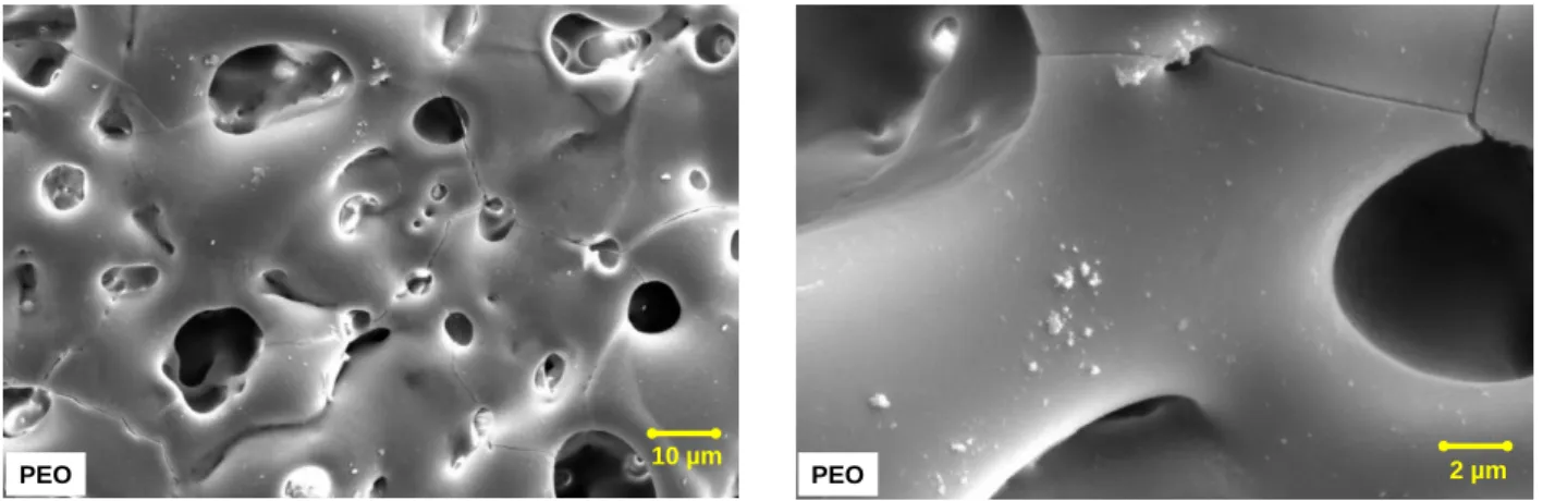 Figure 18 shows the SEM images of the PEO coating applied on the magnesium alloy surface