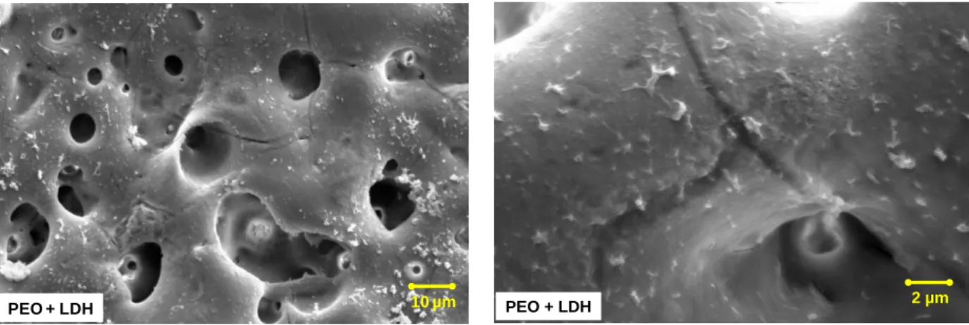 Figure 20 - SEM images of PEO coated magnesium alloy post-treated with in situ 2 LDH. 