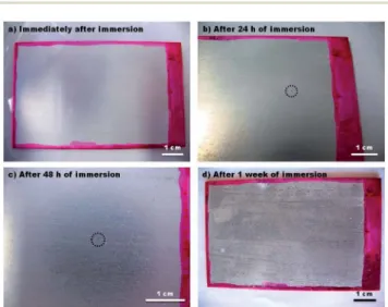 Fig. 9 Evolution of coated AZ31 Mg alloy immersed in a 0.5 M NaCl solution.