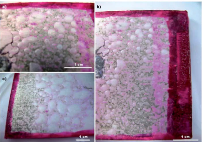 Fig. 10 Coated AZ31 Mg alloy after 72 h of immersion in 0.5 M NaCl.