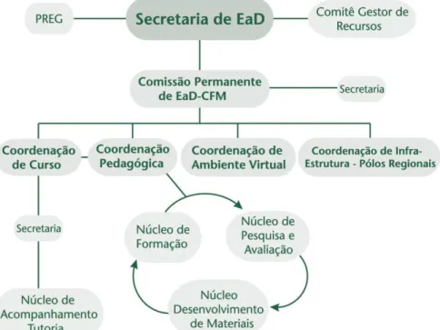 Figura 1- Organograma dos Cursos de Licenciatura em EaD – CED/CFM 