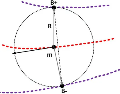 Figure 1.8: Medial geometry, R is the radius, B+ and B − are the object boundaries, Red: medial surface m, Thickness measured as chord length (adapted from [39])