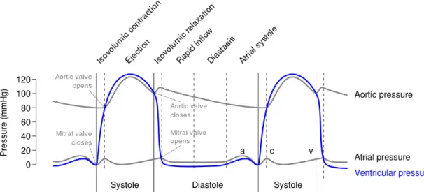Figure 2.2: Cardiac events: systole and diastole, opening and closing pattern of Mitral, aortic valve Vs aortic, atrial and ventricular pressure (adapted from [53])
