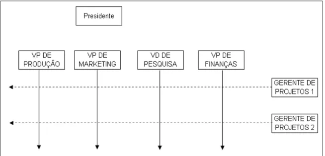 Figura 4: Estrutura organizacional de matriz     Fonte: ANSOFF e McDONELL,1993. 