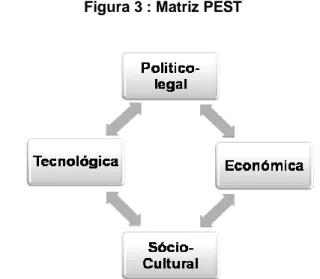 Figura 3 : Matriz PEST 