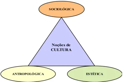 Figura nº 6: Noções de cultura