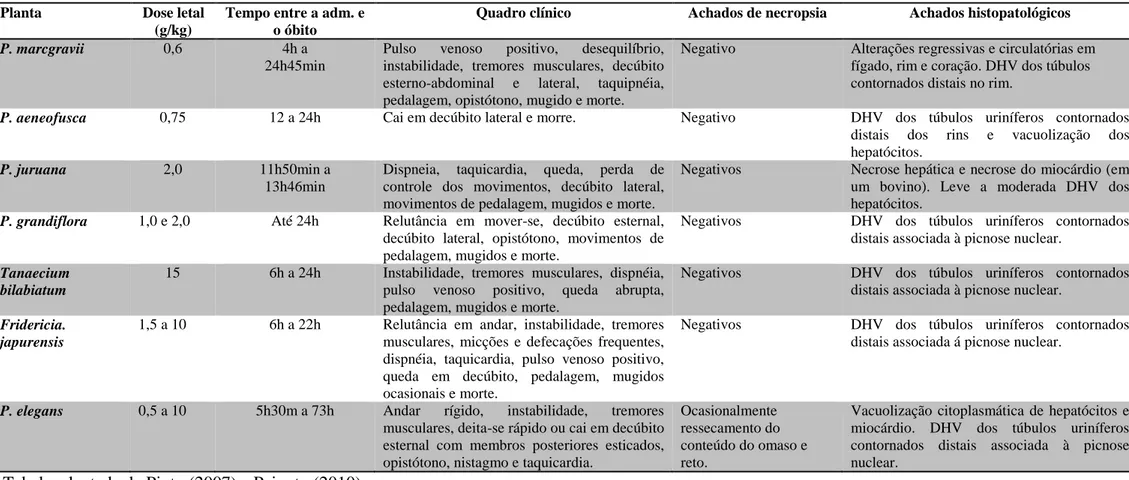 Tabela adaptada de Pinto (2007) e Peixoto (2010). 