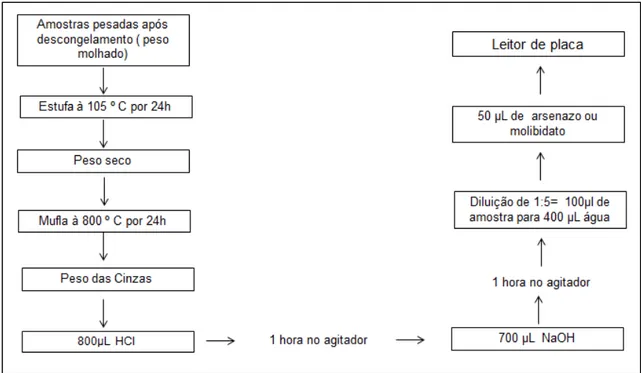 FIGURA 5: Diagrama esquemático da calcinação e dosagem de cálcio e fósforo