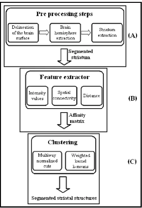 Figure  1.2  Steps  of  the  segmentation  of  caudate,  putamen,  ventral  striatum.  (A)  Preprocessing  steps, (B) affinity matrix construction method, (C) clustering process