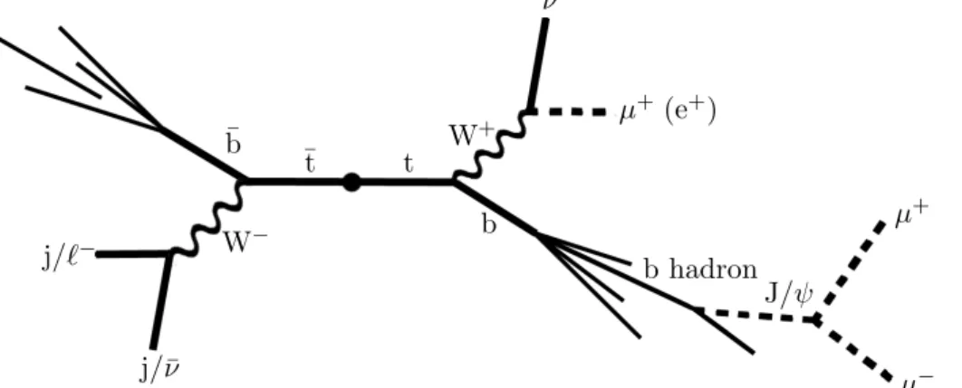 Figure 1: Pictorial view of the J/ ψ meson produced in a tt system. The kinematic properties of the particles represented with dashed lines are used to infer m t .