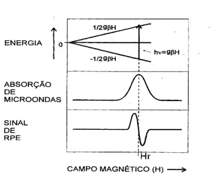 Figura 5 – Desbobramento Zeeman em L=0 e S = ½, mostrando a transição de ressonância magnética na  frequência υ e campo Ho