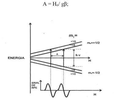 Figura 6 – Desdobramento hiperfino para S = I = 1/2 , mostrando a mostrando a transição de ressonância  magnética com acoplamento hiperfino