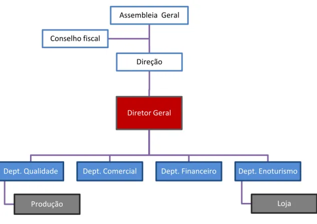 Figura 5: Organograma da empresa 