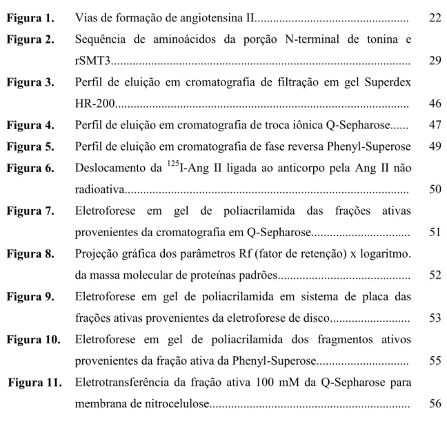 Figura 1. Vias de formação de angiotensina II.................................................