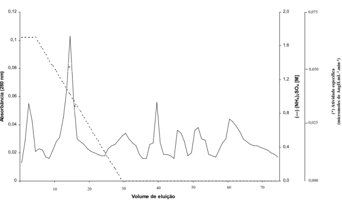 Figura 5 - Perfil de eluição do material proveniente da coluna de troca iônica Q-Sepharose, obtido em coluna Phenyl-Superose equilibrada com tampão fosfato 50 mM contendo 1,7 M de sulfato de amônio, pH 7,0 em fluxo 1,0  mL/min