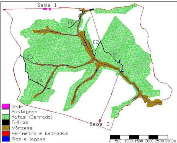Figura 6. Localização das trilhas (01, 02, 03, 04, 05 e 06) e estradas percorridas para coleta de  amostras de fezes de onça-parda 
