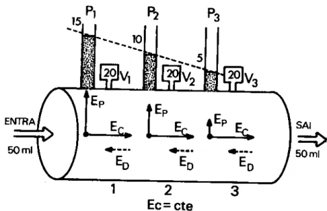 Figura 2.5  – Representação vetorial das energias potencial, cinética,  dissipada e gravitacional de um líquido impulsionado em um  tubo (Heneine, 2000)