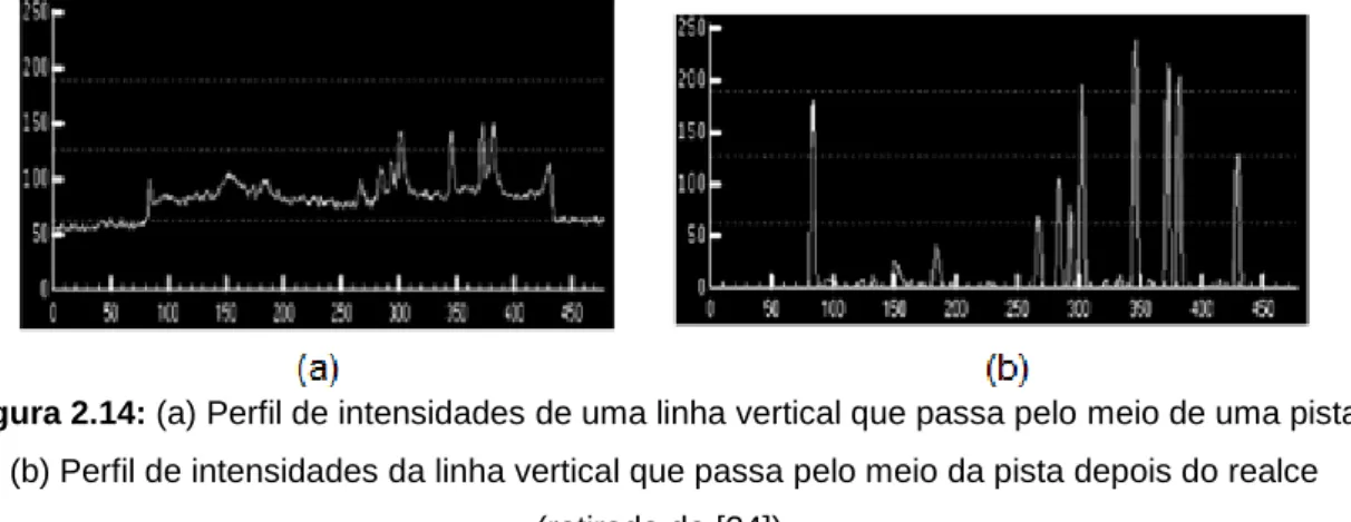 Figura 2.14: (a) Perfil de intensidades de uma linha vertical que passa pelo meio de uma pista;        