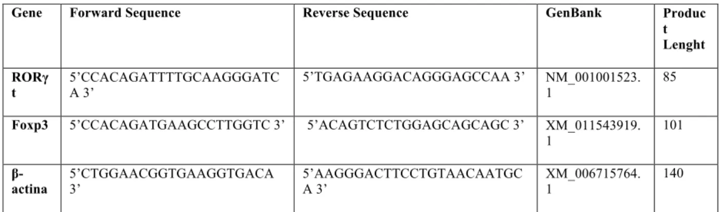 Table 1. Primers for Foxp3, RORγt and β- actina.  