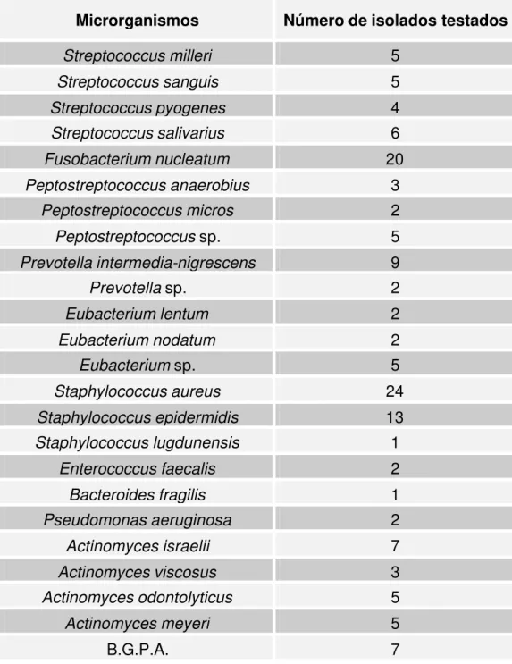 Tabela 8  – Identificação dos microrganismos utilizados nos testes de  susceptibilidade