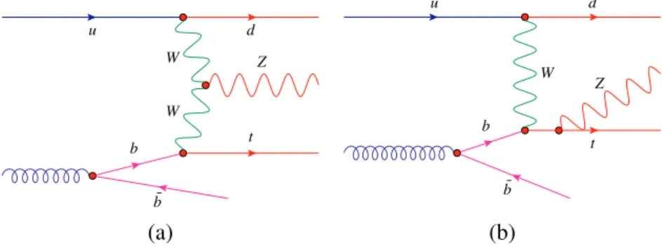 Figure 1: Example Feynman diagrams of the lowest-order amplitudes for the tZq process
