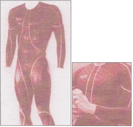 Figura 9: Exemplo do fato completo da Speedo Fast-skin TM  (adaptado de Benjanuvatra et al., 2002)