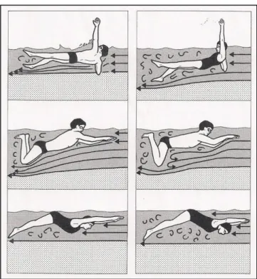 Figura 18: Comparação entre um correto e incorreto alinhamento horizontal em três das quatro técnicas de nado