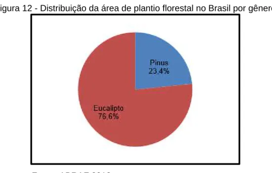 Figura 12 - Distribuição da área de plantio florestal no Brasil por gênero 