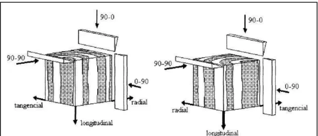 Figura 15 - Sistemas de corte aplicado à seção transversal da madeira 