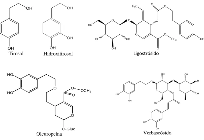 Figura 2- Estrutura química de alguns dos principais compostos fenólicos da azeitona: hidroxitirosol, tirosol,  ligostrósido, oleuropeína, verbascósido 