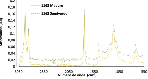 Figura 5- Espetro FTIR-ATR de um dos clones nos dois estados de maturação