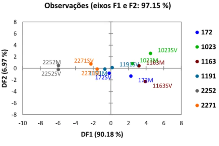 Figura 13 – Gráfico das coordenadas fatoriais da análise discriminante aplicada aos resultados das análises  químicas do azeite 