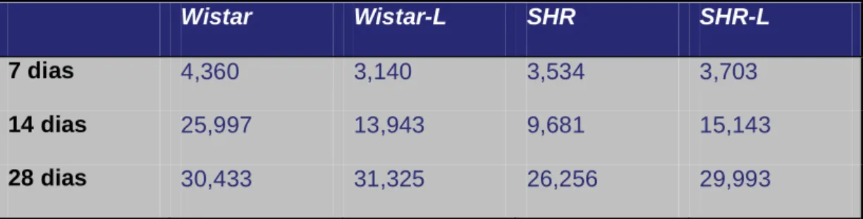 Tabela 1 – Média das porcetagens de osso neoformado na interface leito  receptor/enxerto  Wistar  Wistar-L  SHR  SHR-L  7 dias  4,360  3,140  3,534  3,703  14 dias  25,997  13,943  9,681  15,143  28 dias  30,433  31,325  26,256  29,993 