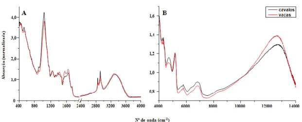 Figura 8-Espectros representativos de fezes de bovinos e equinos registados nos intervalos MIR  (A) e NIR (B)